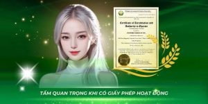 giay-phep-hoat-dong-tam-quan-trong