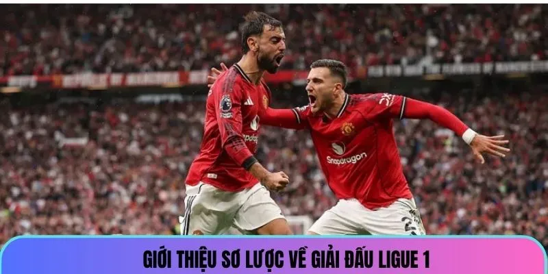 soi-keo-la-ligue-1-gioi-thieu