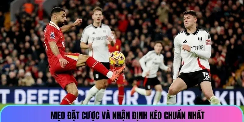 soi-keo-la-ligue-1-meo-hay